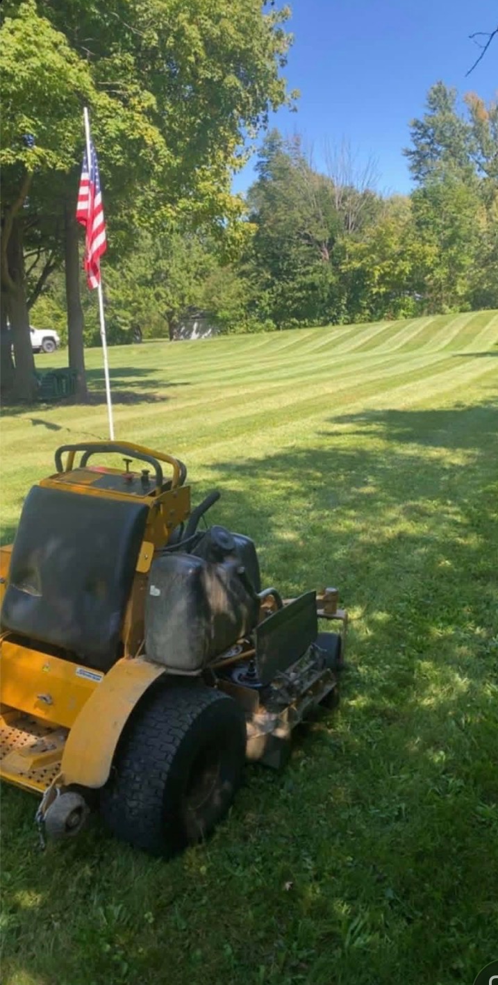 Freshly striped lawn